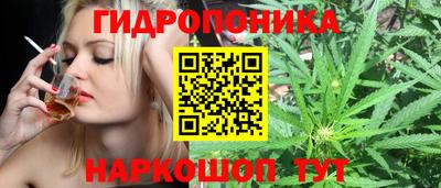 дмт Пыть-Ях