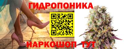 мдпв Пугачёв