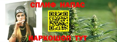 мдпв Пугачёв