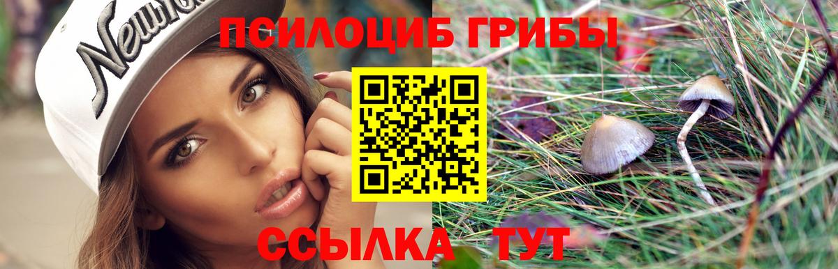 Галлюциногенные грибы мухоморы  Вход с VPN  Ногинск 